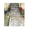 सार्डिन टूना मैकेरल मछली प्रसंस्करण उत्पादन लाइन